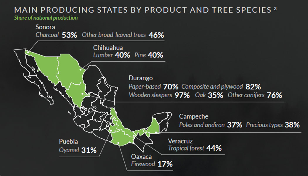 Lumber, Timber and Wood Products in Mexico