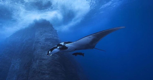 Image from Karen Sack / Ocean Unite Largest protected area in North America